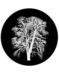 Barren Inverted