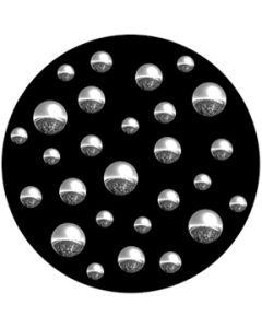 Colony