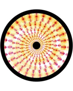 Pressed Petals