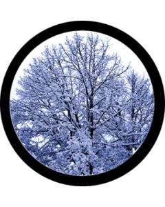 Winter Solstice