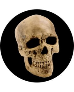Yorick Skull