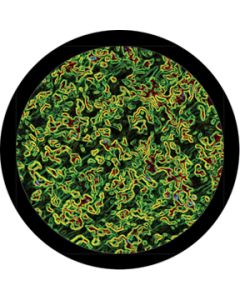 Microscopic