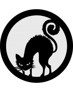 Halloween Cat