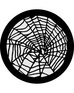 Spider Web Detail