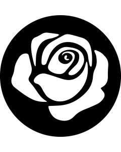 Rose Flower