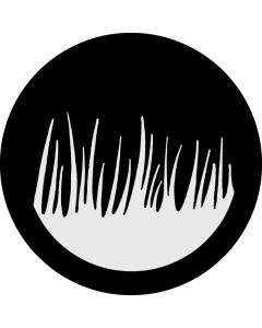 Long Grass