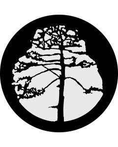 Tree 2