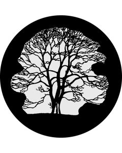 Winter Tree
