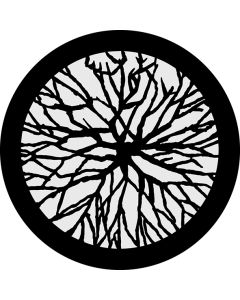 Branch