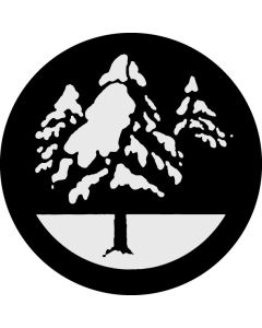 Snowy Branch 2