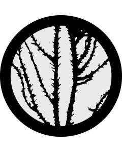 Thornbush