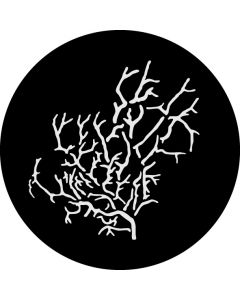 Wicked Branches