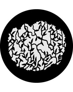 Vines
